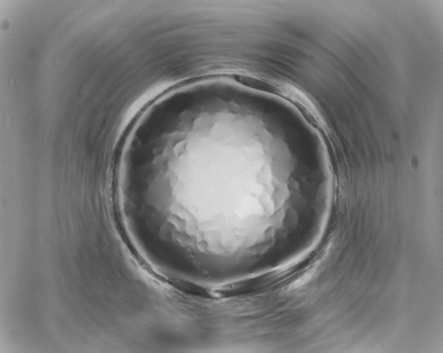 X0000060781149200511171236