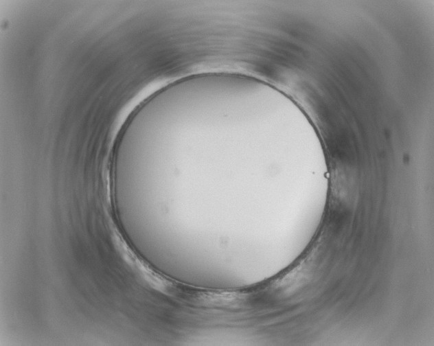 X0000060781150200511171236