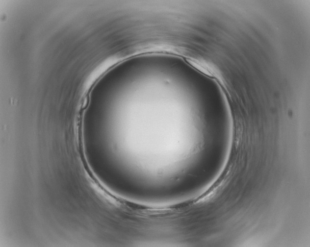 X0000060781151200511171236