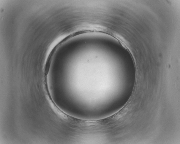 X0000060781152200511171236