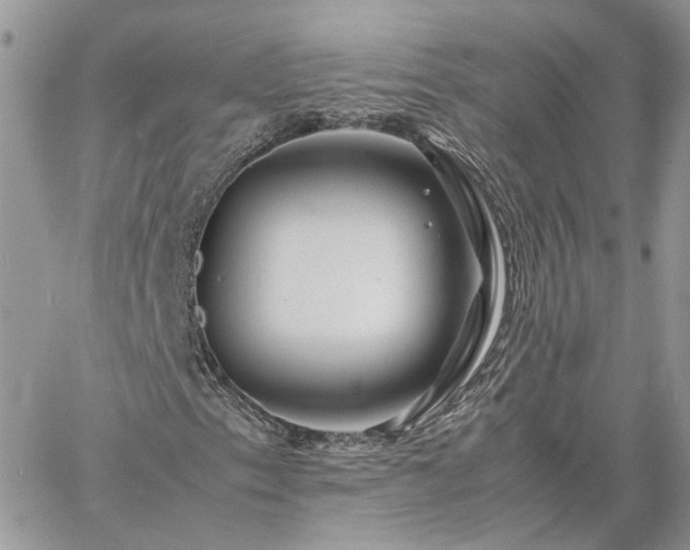 X0000060781153200511171236