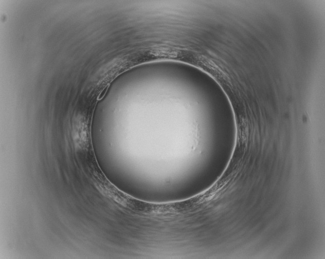 X0000060781154200511171236