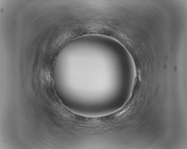 X0000060781155200511171236