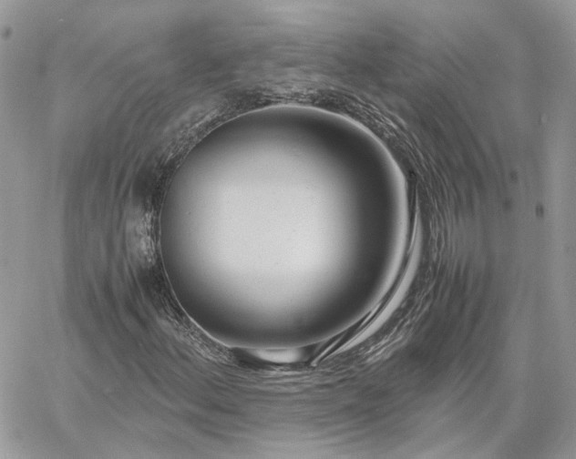 X0000060781156200511171236