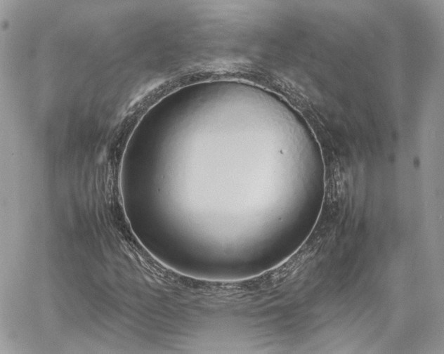 X0000060781158200511171236