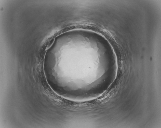 X0000060781159200511171236