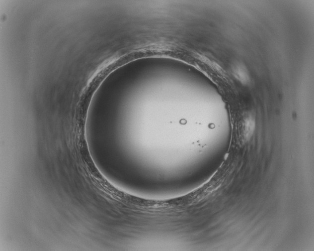 X0000060781160200511171235