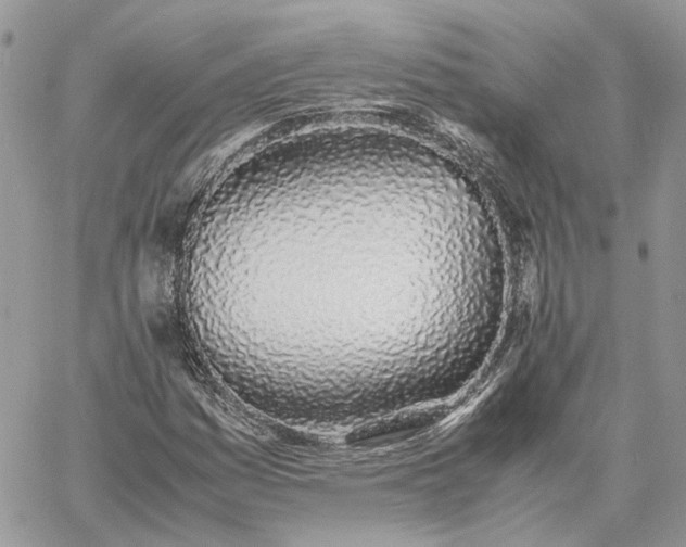 X0000060781161200511171235