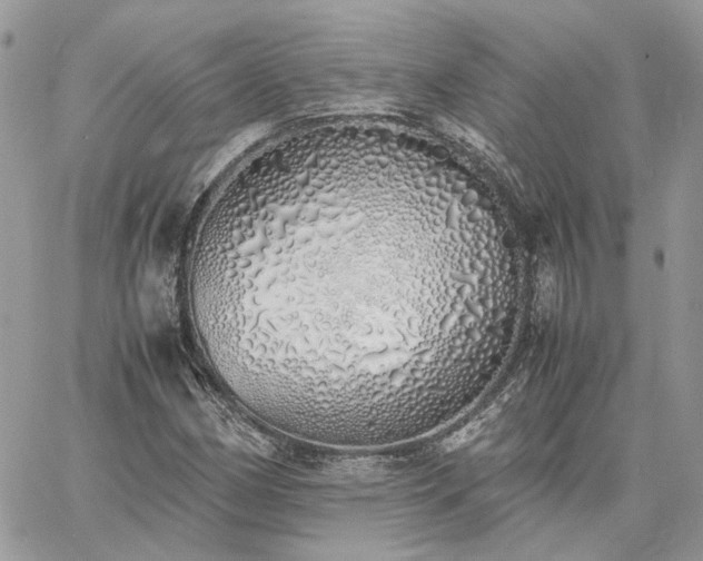 X0000060781162200511171235