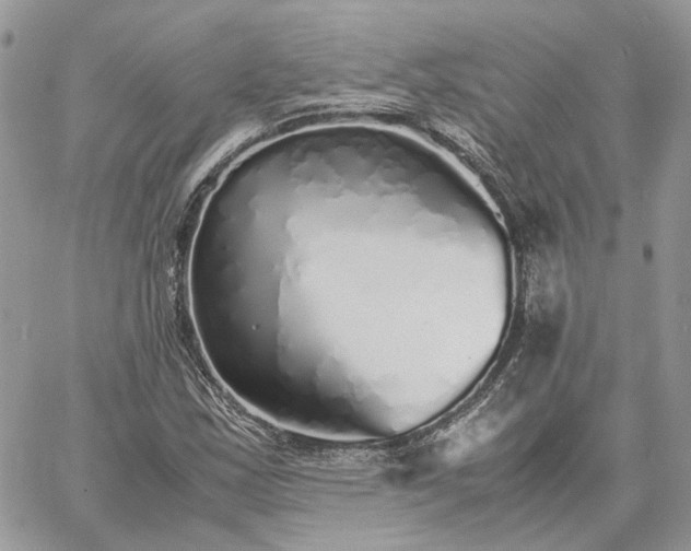 X0000060781163200511171235