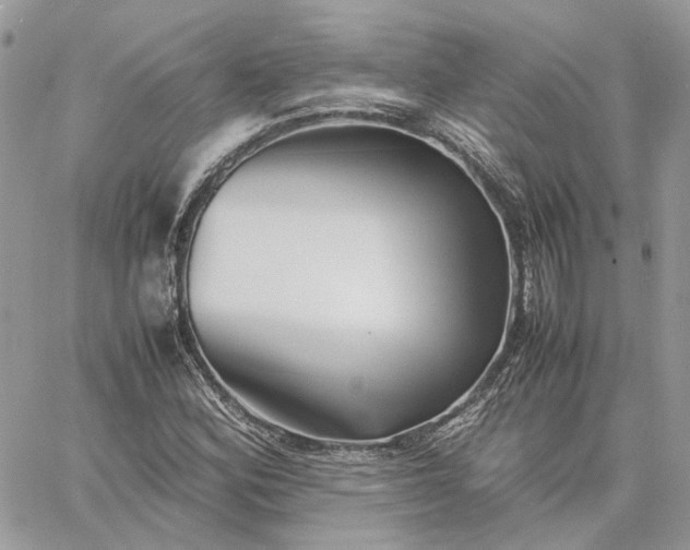 X0000060781164200511171235