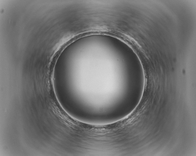 X0000060781168200511171235