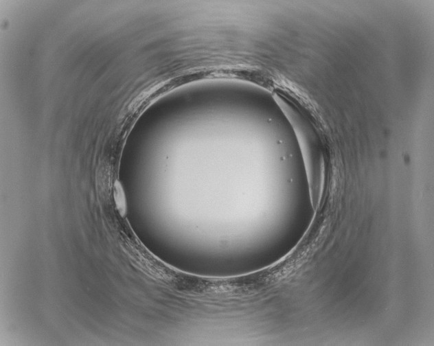 X0000060781169200511171235