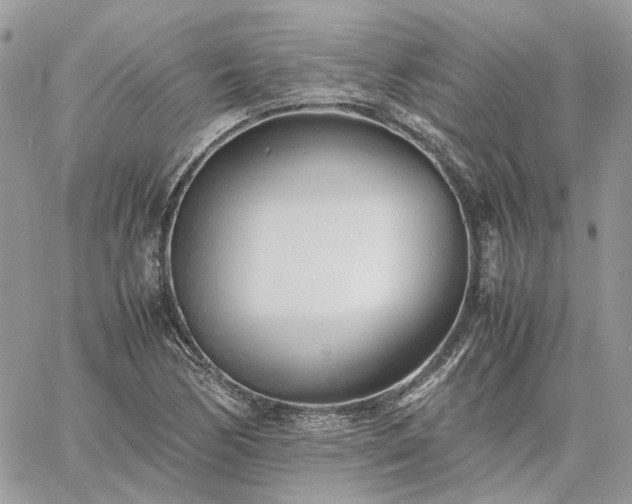 X0000060781170200511171235