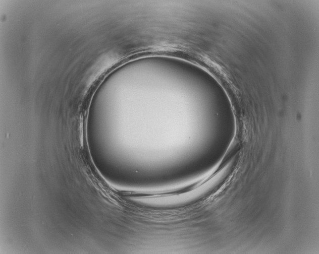 X0000060781171200511171235