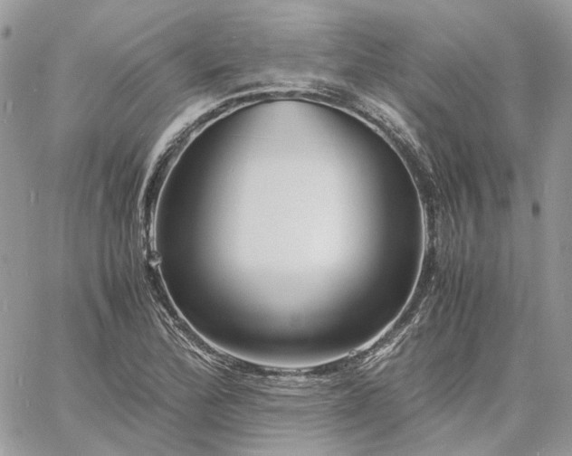 X0000060781172200511171235