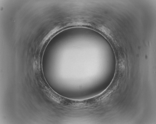 X0000060781173200511171235