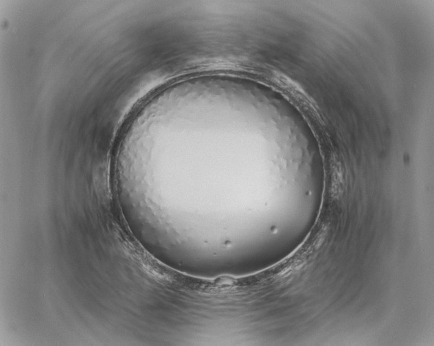 X0000060781174200511171235