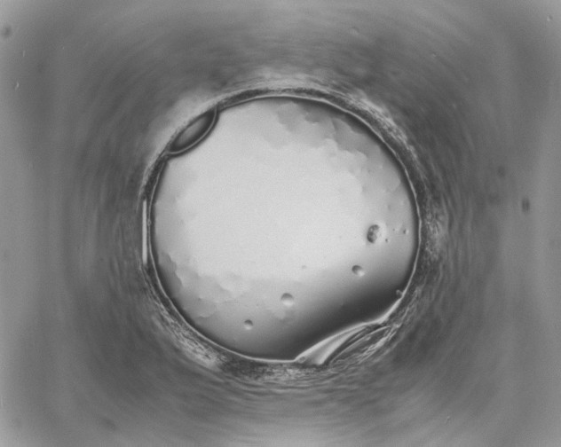 X0000060781175200511171235