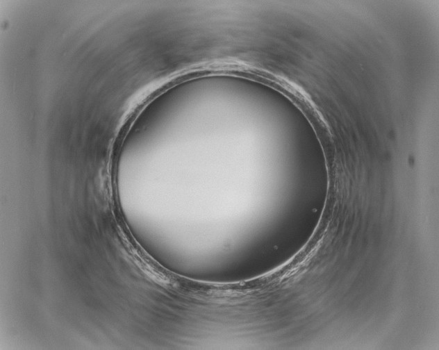 X0000060781176200511171235