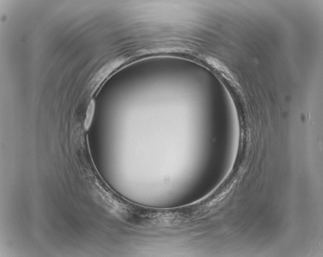 X0000060781177200511171235