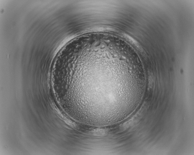 X0000060781178200511171235