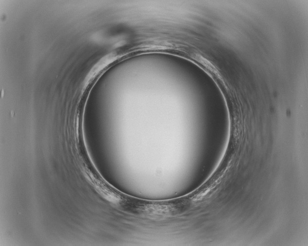 X0000060781179200511171235