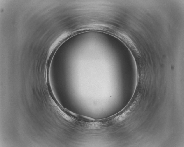 X0000060781180200511171235