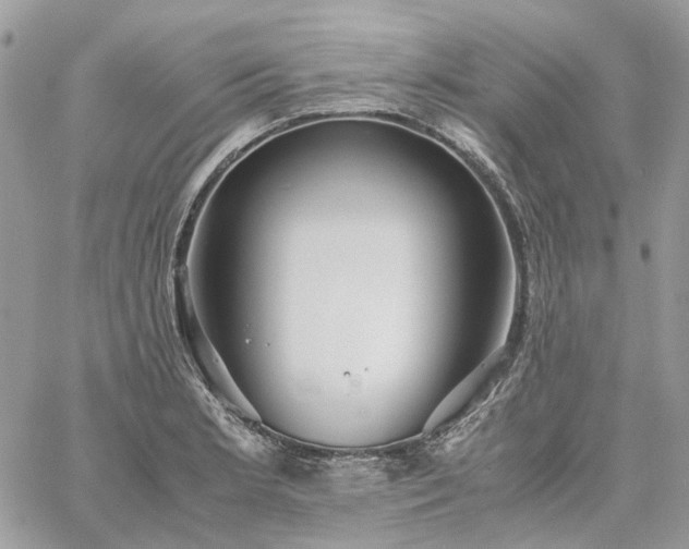 X0000060781181200511171235