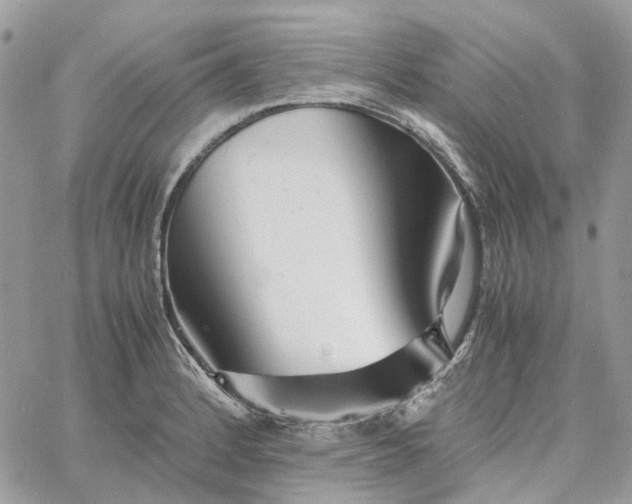 X0000060781184200511171235