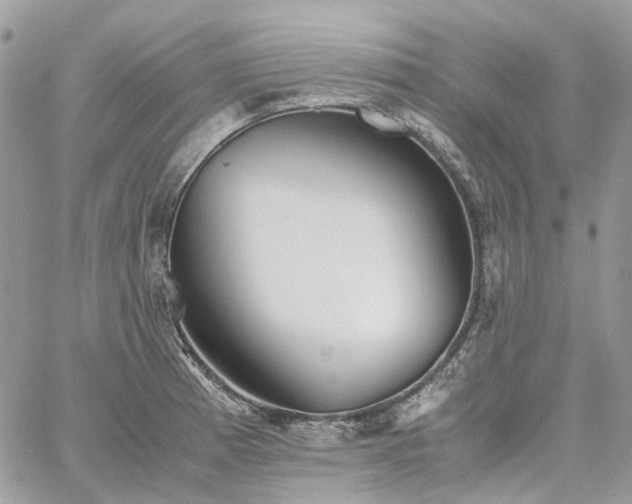 X0000060781185200511171235