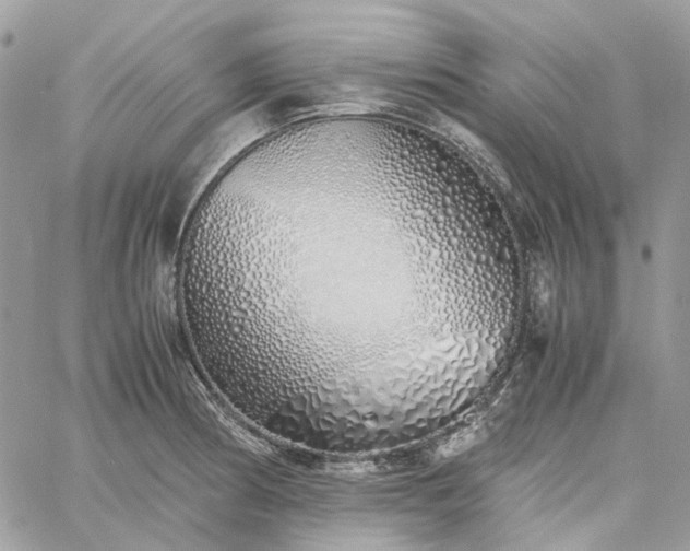 X0000060781186200511171235