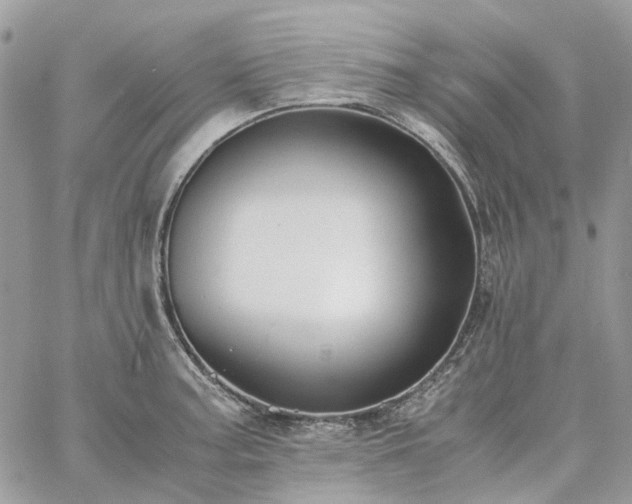 X0000060781187200511171235