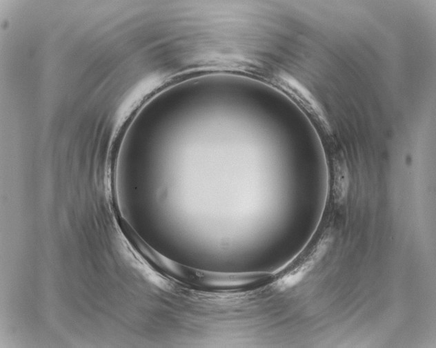 X0000060781188200511171235