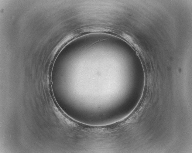 X0000060781189200511171235