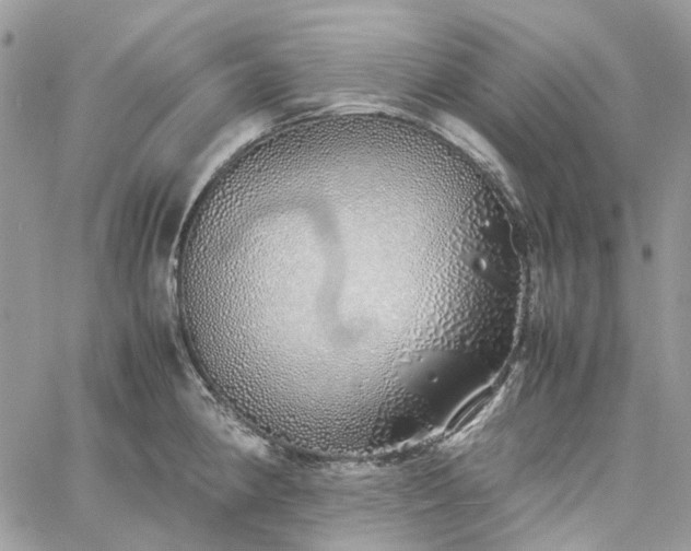 X0000060781190200511171235