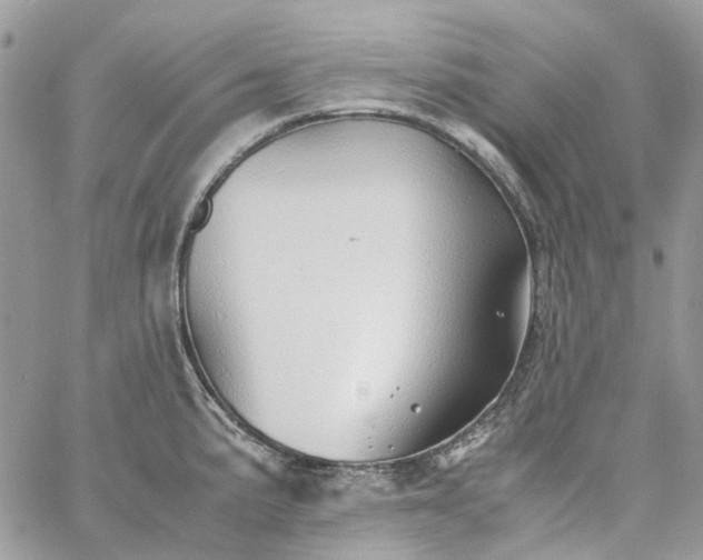 X0000060781191200511171235