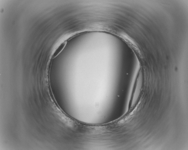 X0000060781192200511171235