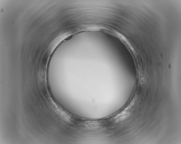 X0000060781194200511171235