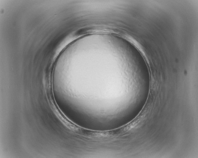 X0000060781195200511171235