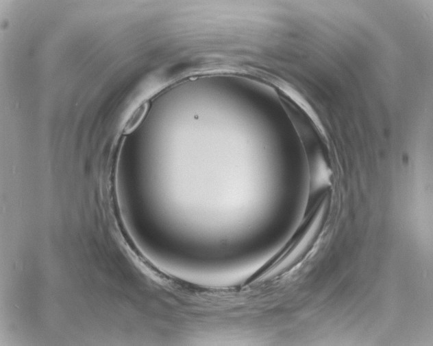 X0000060781197200511171235