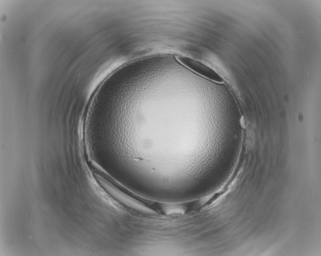 X0000060781198200511171235