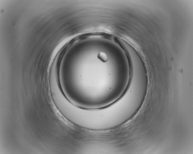 X0000060781200200511171235