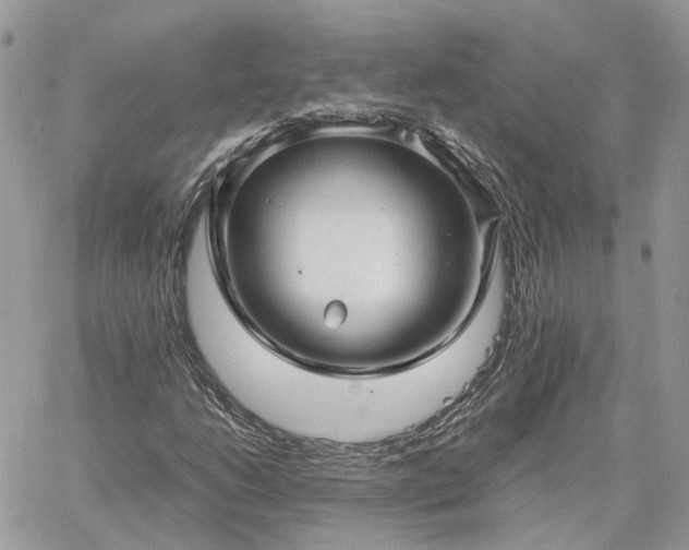 X0000060781206200511171234