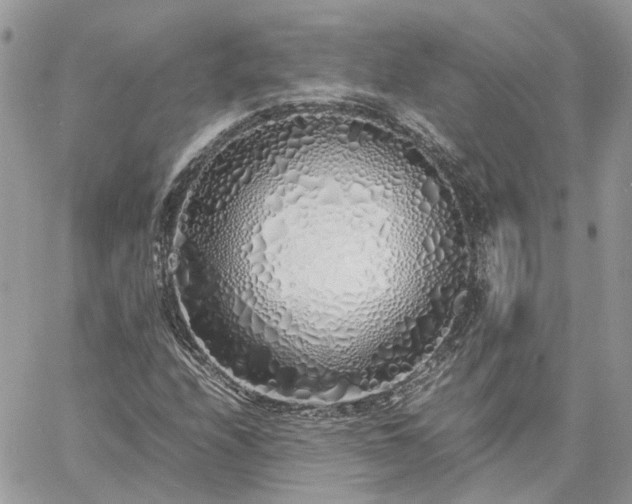 X0000060781208200511171234