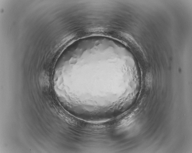 X0000060781209200511171234