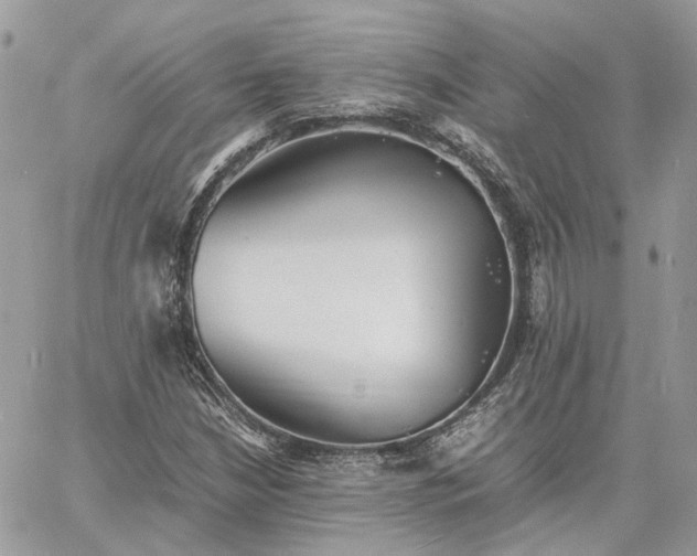 X0000060781210200511171234