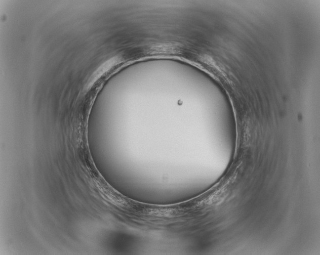 X0000060781211200511171234