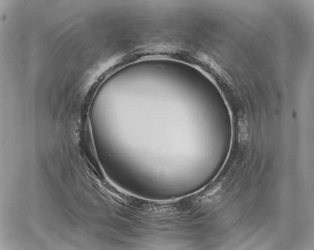 X0000060781213200511171234