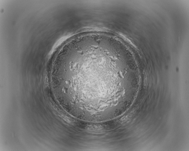 X0000060781215200511171234